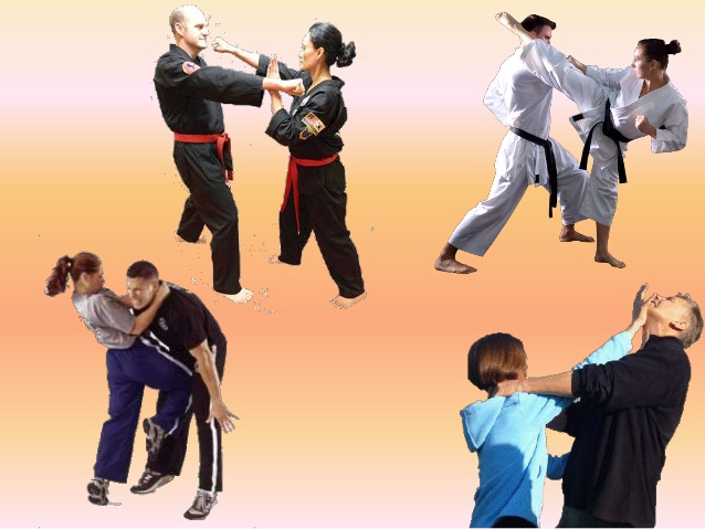 3 Significant Reasons You Need To Learn Self-defense Online